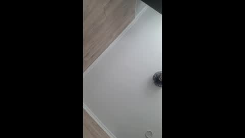 danielpaschek007 online show from 04/28/26, 09:47