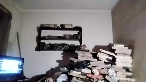 danitacrs online show from 03/23/26, 02:48