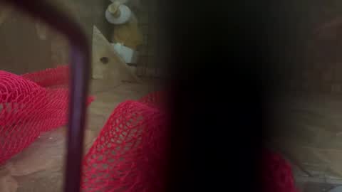 dankcock69420 online show from 11/17/25, 05:24