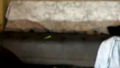 Snapshot of dankshepp chatting on 10/12/25, 01:04 dandeb online show from 10/12/25, 01:04