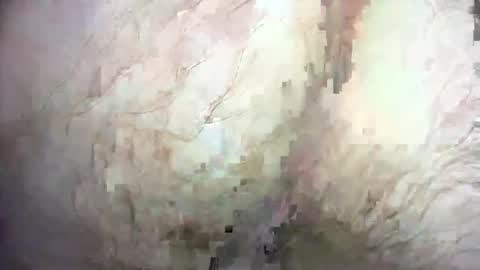 dankz4two0 online show from 12/21/24, 01:32