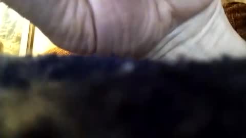 dannowisc online show from 04/05/26, 03:26