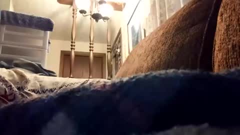 dannowisc online show from 04/17/26, 11:02