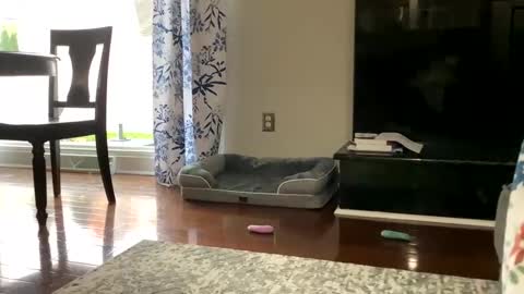 dannyboy621 online show from 10/25/25, 01:18