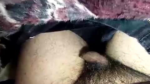 dansweetie_20 online show from 02/12/26, 10:27