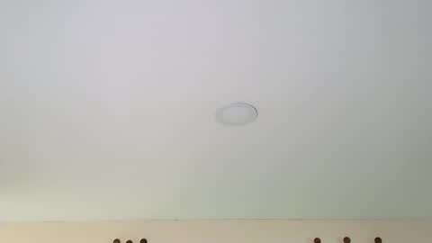 Dante online show from 02/13/25, 08:55