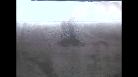 danyvdh online show from 12/13/24, 08:51