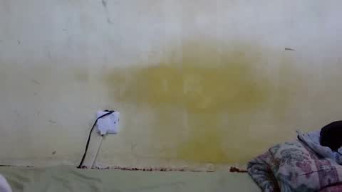 dark_princess1 online show from 12/23/25, 07:06