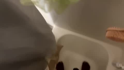 dasquirtmaster online show from 03/29/26, 10:43