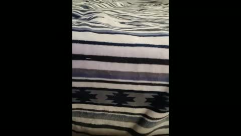 dat_guy8806 online show from 01/05/26, 11:52