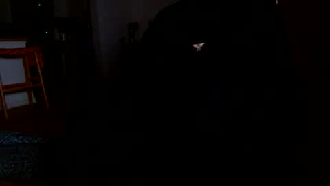 datyo1234 online show from 03/17/26, 05:22