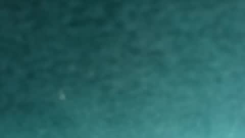 Snapshot of davidf75 chatting on 11/12/25, 09:42 davidf75 online show from 11/12/25, 09:42