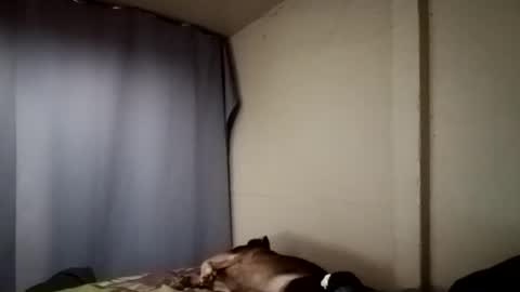 Snapshot of davidjose1995 chatting on 12/11/24, 04:18 Juice cock online show from 12/11/24, 04:18