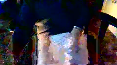 davidneedmore online show from 03/03/26, 02:34