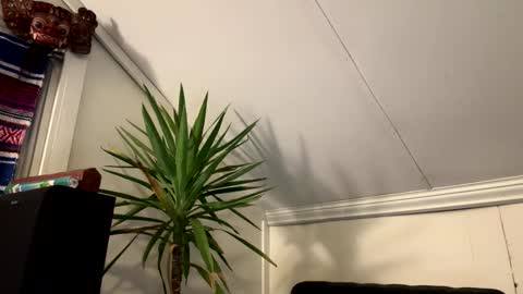 dayblue online show from 03/02/26, 02:58