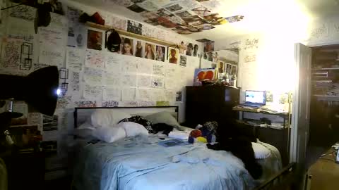 dbeamon92 online show from 03/08/26, 02:04