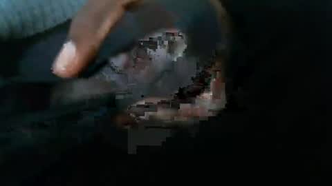 dbizzlenyc online show from 02/01/25, 09:19