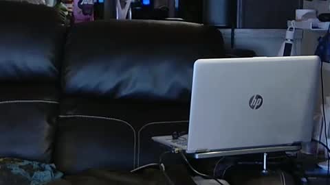 want girl to play with me online show from 02/06/25, 11:48