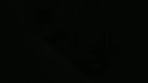 ddog1993 online show from 04/22/26, 09:55