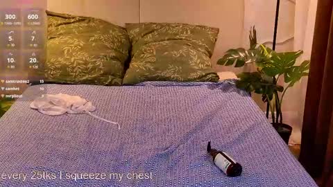 Kitty online show from 01/31/26, 07:11