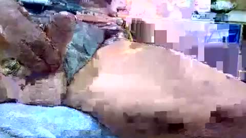 Dive Deep online show from 01/19/26, 12:14