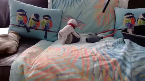 deeperjohnny online show from 10/21/25, 03:35