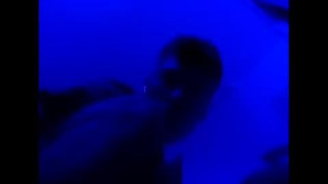 deezzee_5280 online show from 02/26/26, 09:08