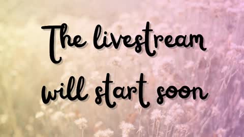 DeLite  Next stream on Wednesday or Thurdsay  online show from 03/11/25, 09:24