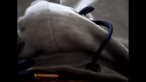 deliv_shopi online show from 01/15/26, 03:05