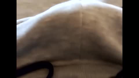 deliv_shopi online show from 02/22/26, 02:48