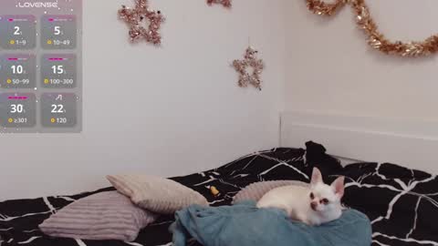 Demi. not your babybabebb and other shit online show from 12/25/24, 10:50