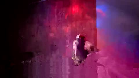 den2807 online show from 04/17/26, 02:25