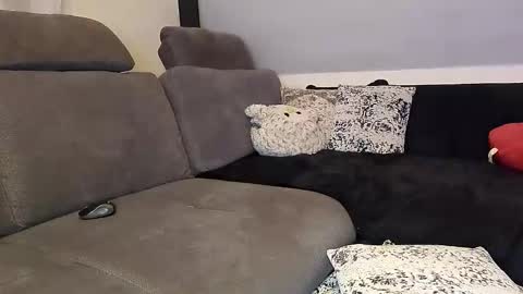 Denise and Brad online show from 11/12/25, 05:13