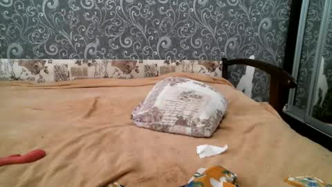 DennisXCarol online show from 02/18/25, 12:39