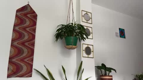 Desidias online show from 10/22/25, 09:03