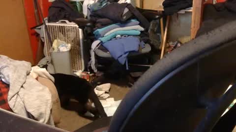 desolation2012 online show from 03/27/26, 05:02