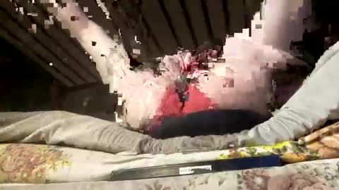 deviantlyourz online show from 10/22/25, 09:31