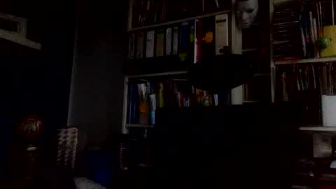 Snapshot of devil_dark_berlin chatting on 12/19/24, 02:35 ooo  Devil Dark  ooo online show from 12/19/24, 02:35