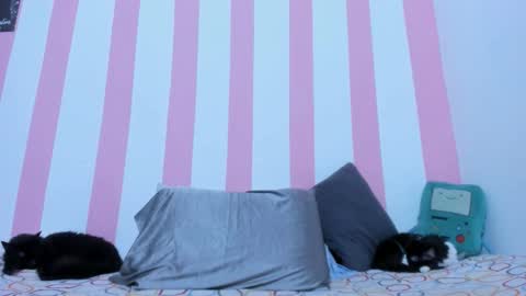 Johana online show from 03/17/26, 02:16