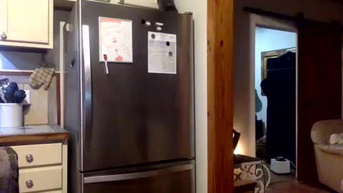 devjsav12 online show from 01/19/25, 03:50