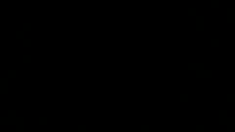 dexcarter81 online show from 03/02/25, 12:32