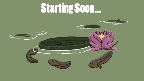 Snapshot of diana_smit_ chatting on 12/14/24, 03:07 diana online show from 12/14/24, 03:07