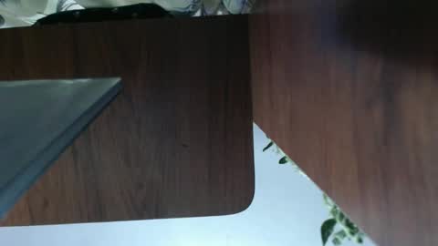 Snapshot of diana_smit_ chatting on 01/01/25, 02:30 diana online show from 01/01/25, 02:30