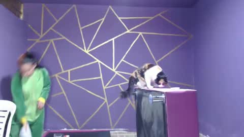 Snapshot of diana_smit_ chatting on 01/12/25, 08:14 diana online show from 01/12/25, 08:14