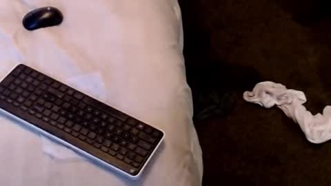 Sparkx online show from 12/22/25, 04:31