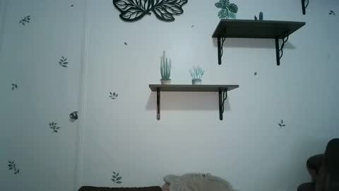 Snapshot of dickslayerdan chatting on 01/25/25, 08:21 dickslayerdan online show from 01/25/25, 08:21