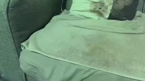 Snapshot of dickwack4u chatting on 01/10/26, 02:24 dickwack4u online show from 01/10/26, 02:24