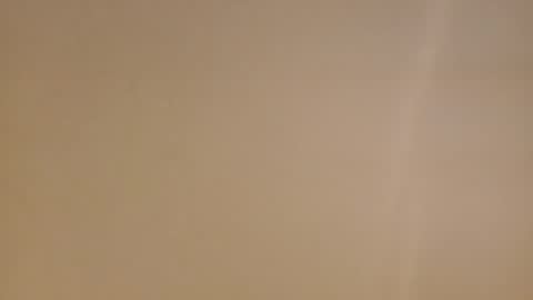 Diego online show from 02/16/25, 11:38