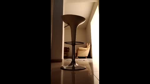 Diego online show from 03/14/26, 11:10