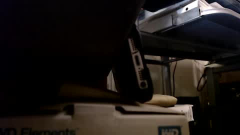 dbNorth online show from 01/13/25, 01:13